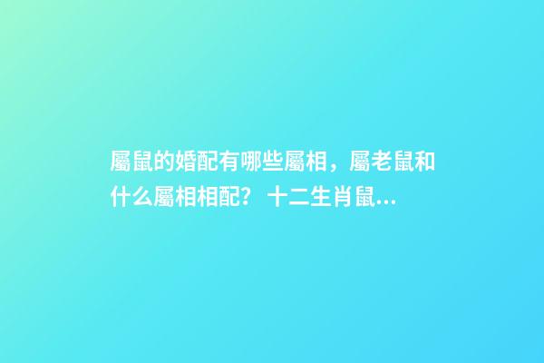 屬鼠的婚配有哪些屬相，屬老鼠和什么屬相相配？ 十二生肖鼠的婚配表-第1張-觀點-玄機派